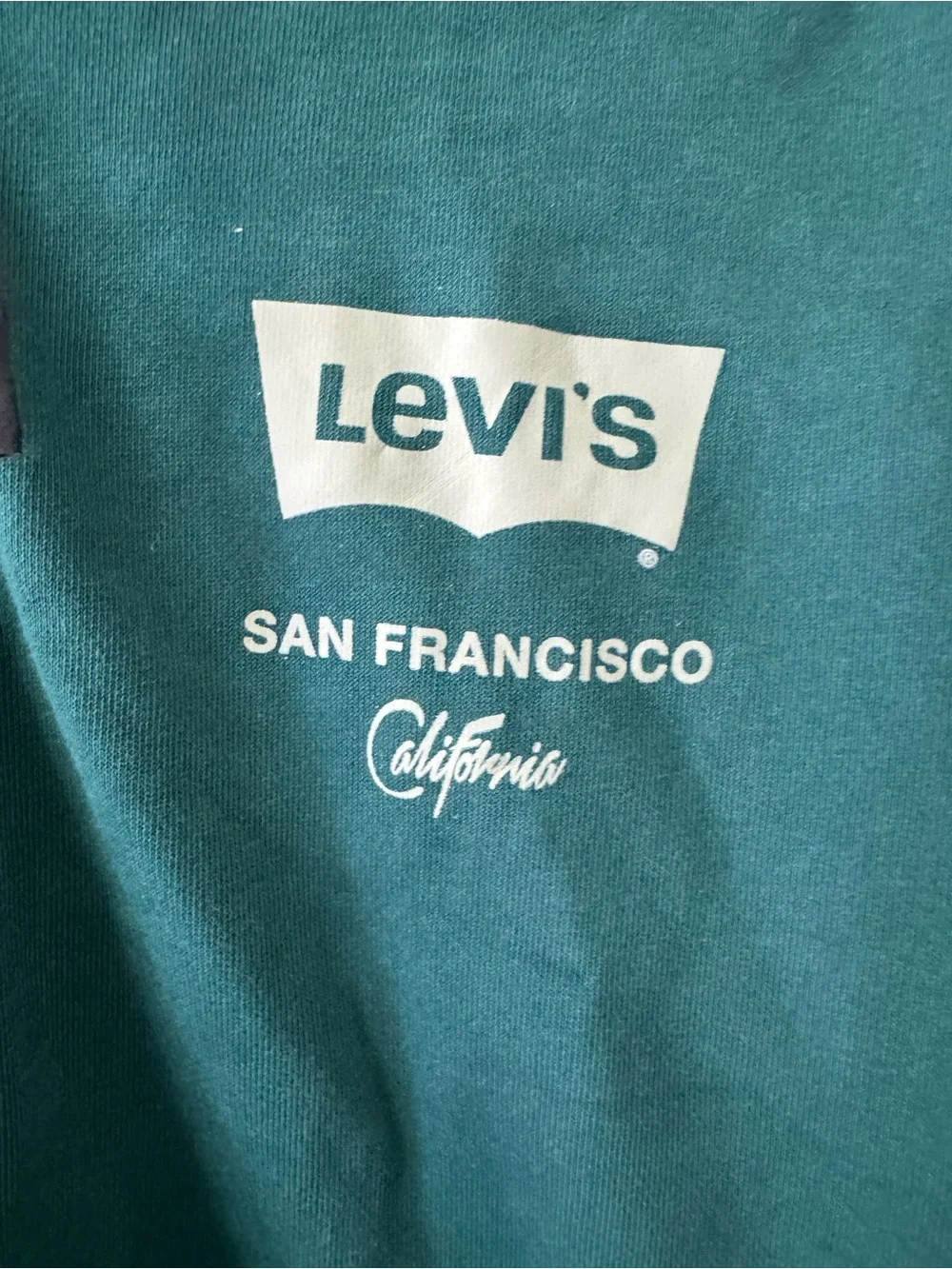 Levi's men’s Teal Green Full-Zip Hoodie